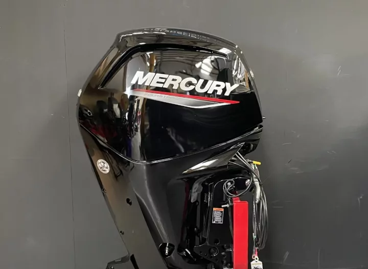 Mercury 115 EFI four