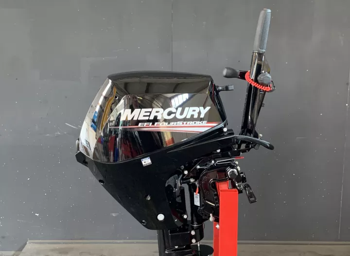 Mercury 15 PK EFI