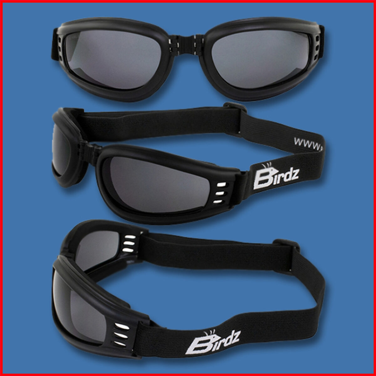 Birdz Cardinal Tinted Goggles